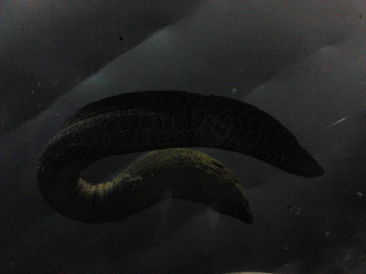 屏東海洋生物博物館