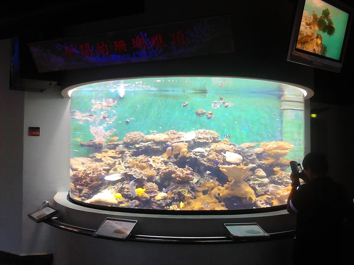 屏東海洋生物博物館