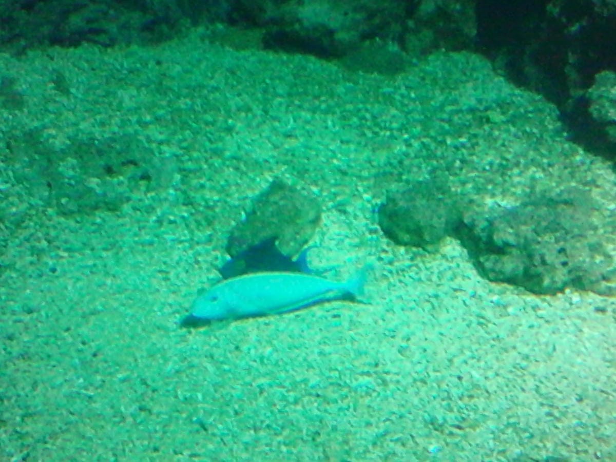 屏東海洋生物博物館