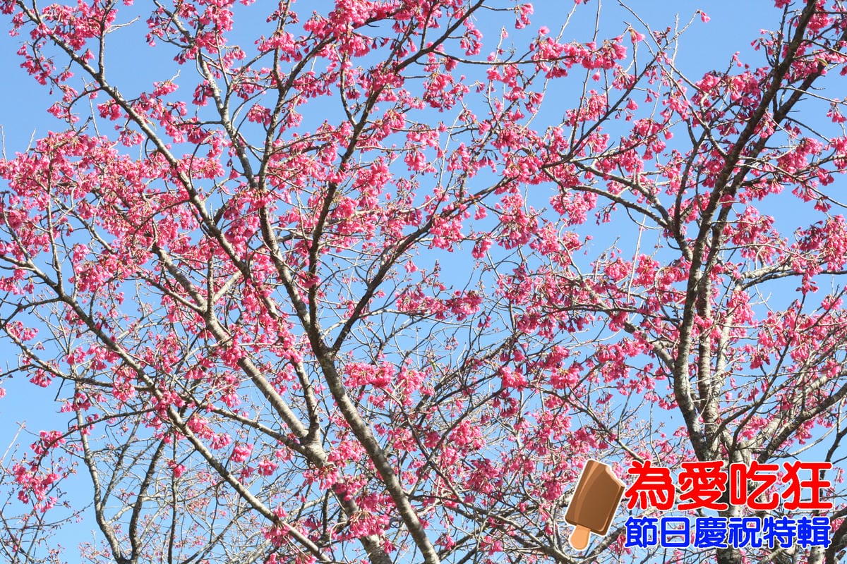 奧萬大跨年旅行