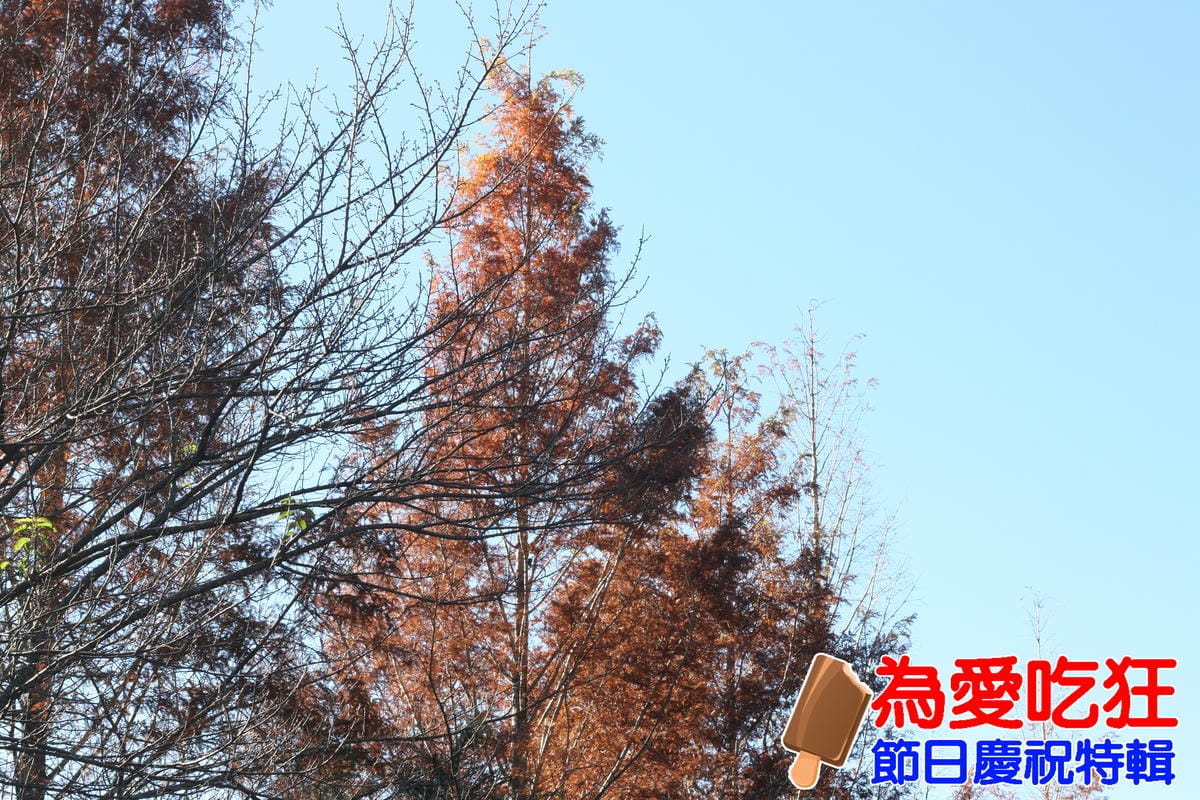 奧萬大跨年旅行