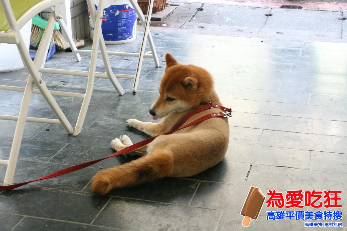捲福彩色潤餅