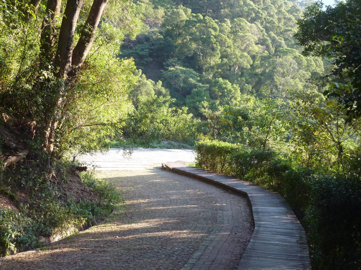 6賞蝶步道.JPG