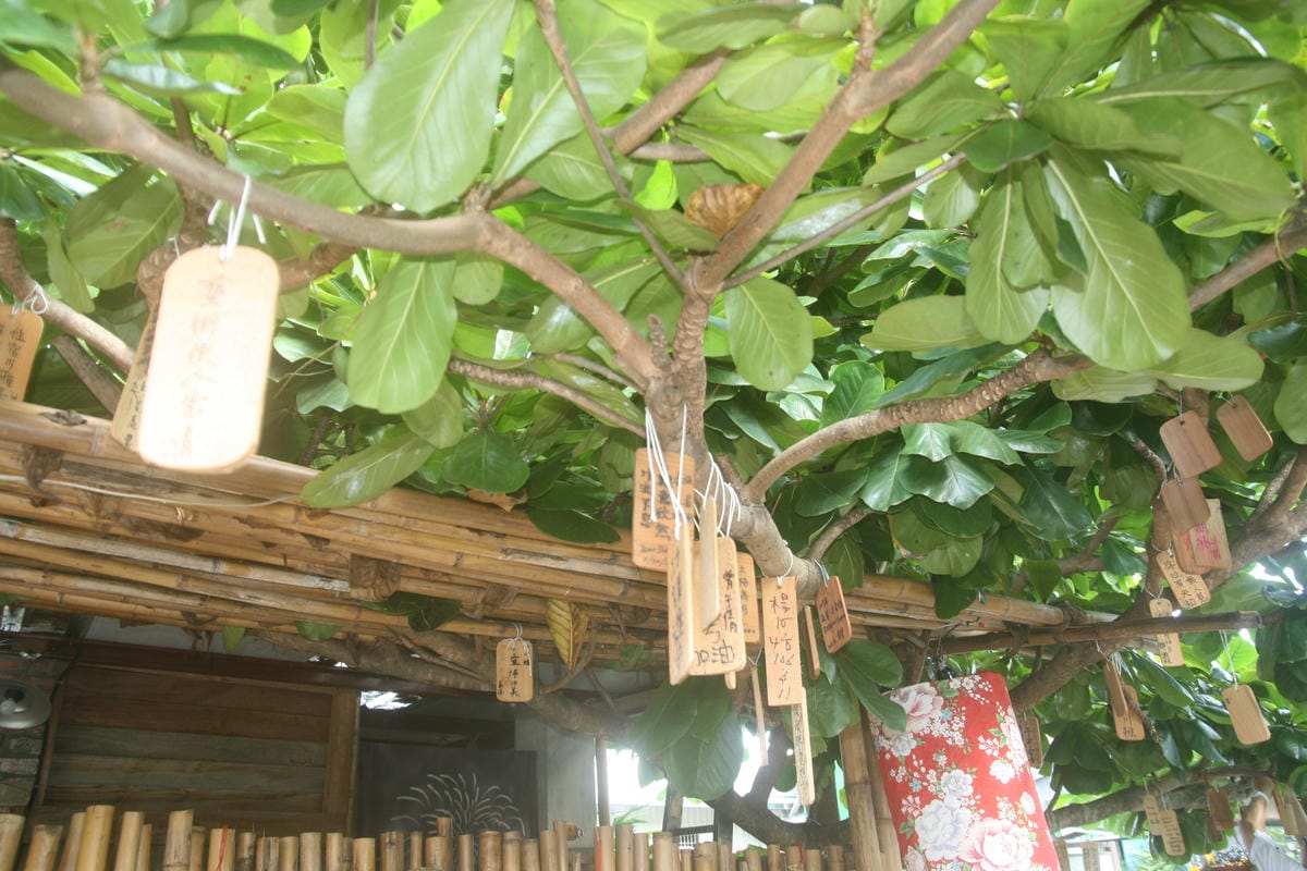 東高雄驚喜小旅行