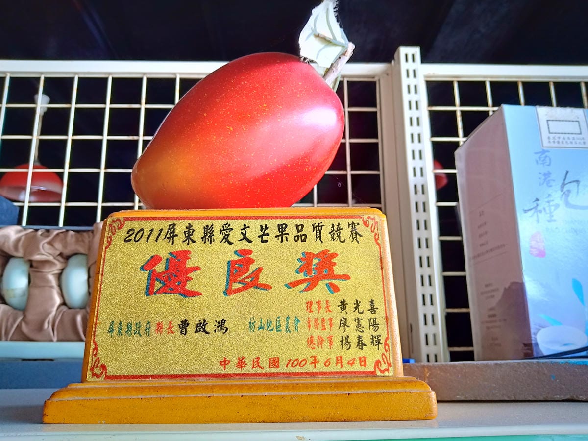 吉吉愛文芒果觀光果園