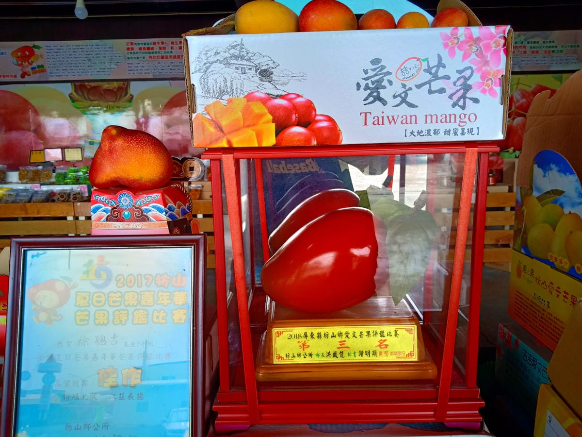 吉吉愛文芒果觀光果園