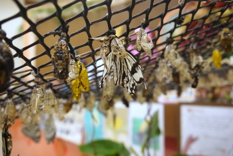 2020東高慢食旅記者會 2020東高慢食旅記者會