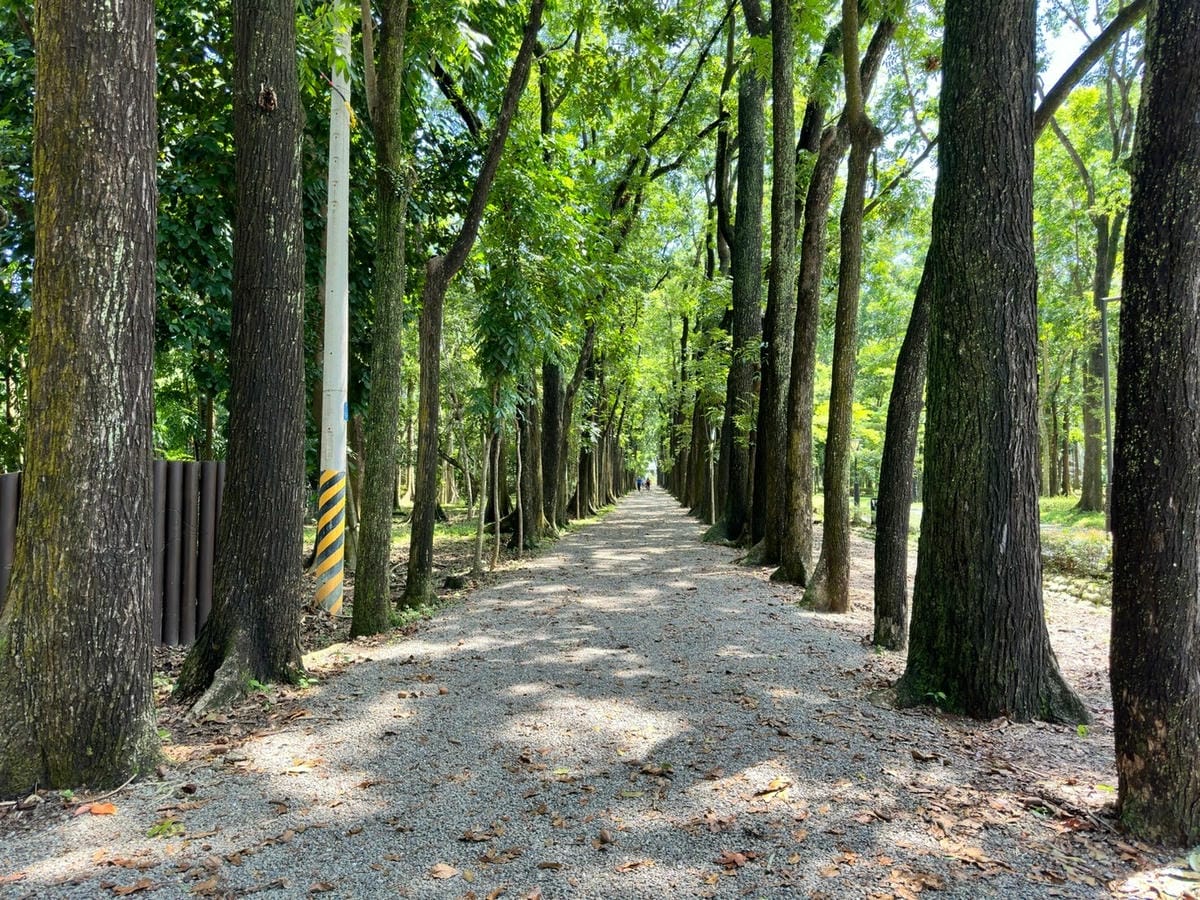 六龜新威